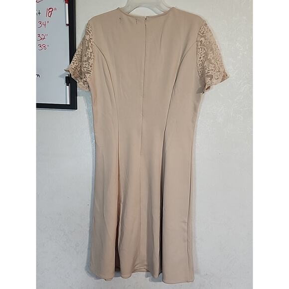 Allegra K Dress Hourglass Flare Zip Closure Back Lace Short Sleeve Sz Large NEW - Picture 7 of 10